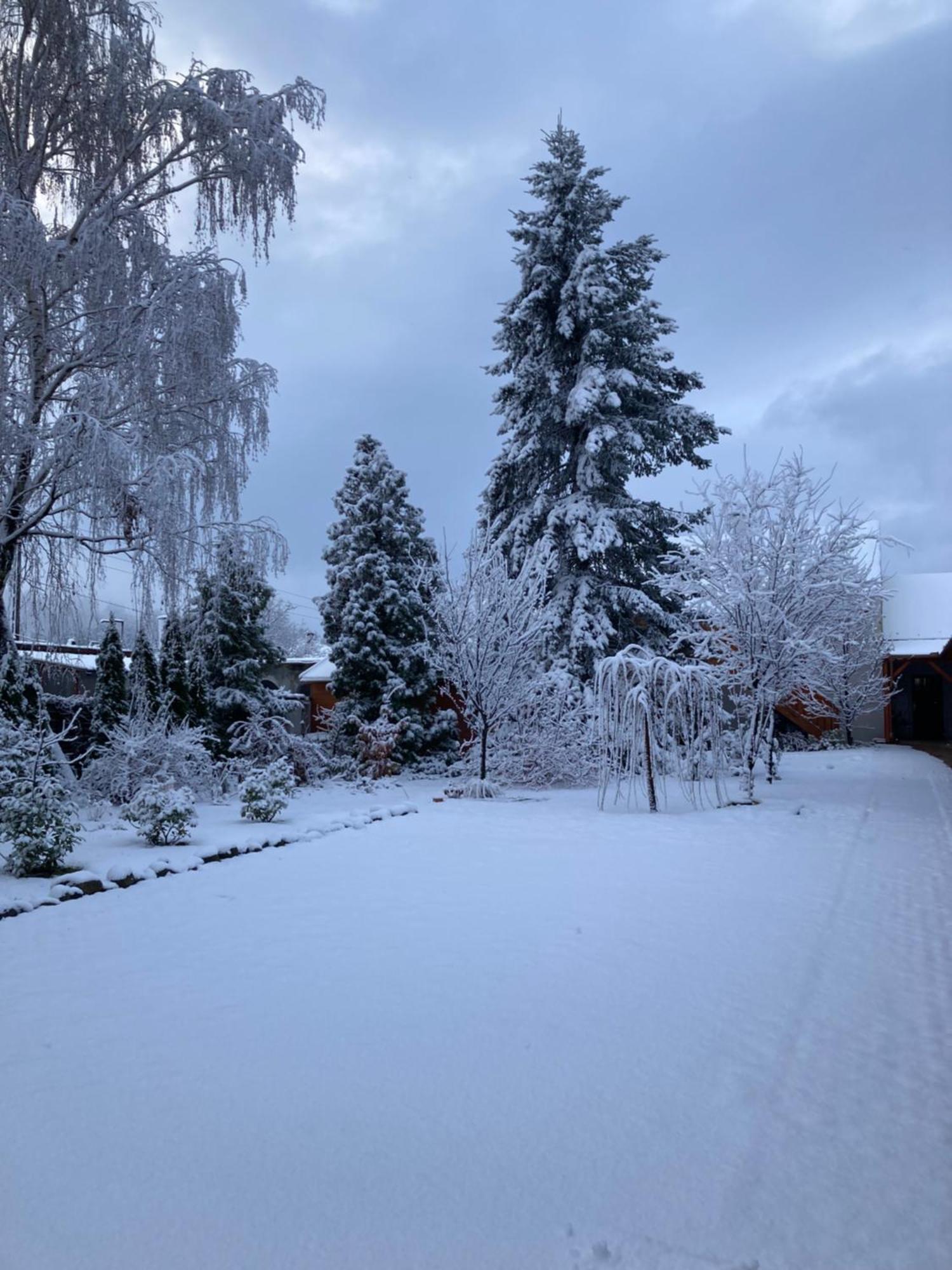 Cicaskacus Vendeghaz Bed and Breakfast Mátrafüred Eksteriør billede